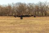  1225 Road - Photo 52