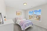 20703 Emerald Street - Photo 24