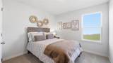 2201 Creek View Lane - Photo 22