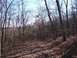  Gore/Keevon Road - Photo 5
