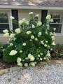 7725 Woodland Drive - Photo 8