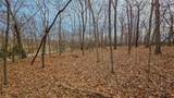 Lot #1251 Spring Creek Drive - Photo 6