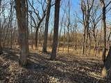 11.77 Acres 972 Road - Photo 9