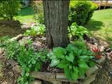1717 6th Avenue - Photo 47