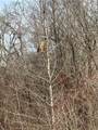 117 South Street - Photo 7