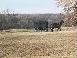 720 800th Road - Photo 9
