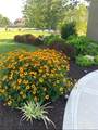 15516 Stearns Street - Photo 67