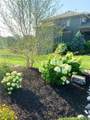 15516 Stearns Street - Photo 72