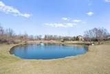 10777 Brownridge Street - Photo 38