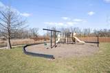 10777 Brownridge Street - Photo 40