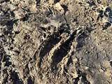 000 Old River Road - Photo 23