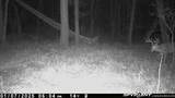 000 Old River Road - Photo 4