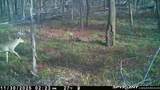 000 Old River Road - Photo 44