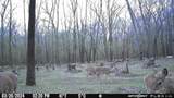 000 Old River Road - Photo 45
