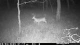 000 Old River Road - Photo 47
