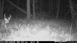 000 Old River Road - Photo 48