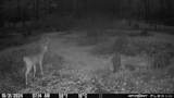 000 Old River Road - Photo 50