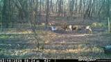 000 Old River Road - Photo 51