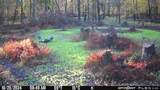 000 Old River Road - Photo 52