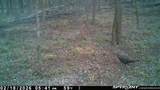 000 Old River Road - Photo 54