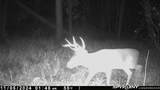 000 Old River Road - Photo 55