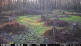 000 Old River Road - Photo 56