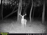 000 Old River Road - Photo 57
