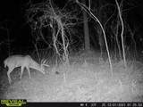 000 Old River Road - Photo 58