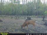 000 Old River Road - Photo 59