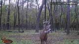 000 Old River Road - Photo 61
