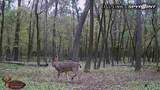 000 Old River Road - Photo 62