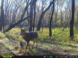 000 Old River Road - Photo 63