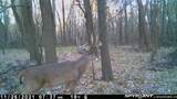 000 Old River Road - Photo 64