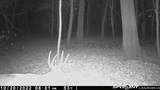 000 Old River Road - Photo 65