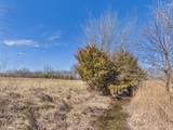 2317 Maple Road - Photo 51