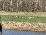0 Knobby Creek Lane - Photo 36