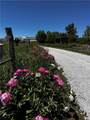 1564 450th Road - Photo 4