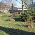 215 Cottonwood Street - Photo 2