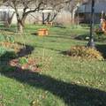 215 Cottonwood Street - Photo 3