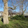 215 Cottonwood Street - Photo 5