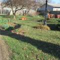 215 Cottonwood Street - Photo 7
