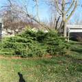 215 Cottonwood Street - Photo 9