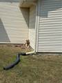 24001 223rd Street - Photo 65