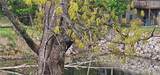 11 Scenic Court - Photo 28