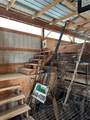 19251 Bolling Road - Photo 54