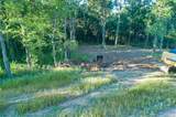 9687 Metropolitan Circle - Photo 3