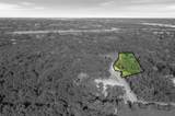 9687 Metropolitan Circle - Photo 4