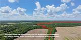 39502 Gillespie Road - Photo 6