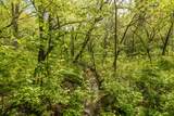 6701 Rickey Road - Photo 83