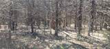 3528 West Virginia Road - Photo 13